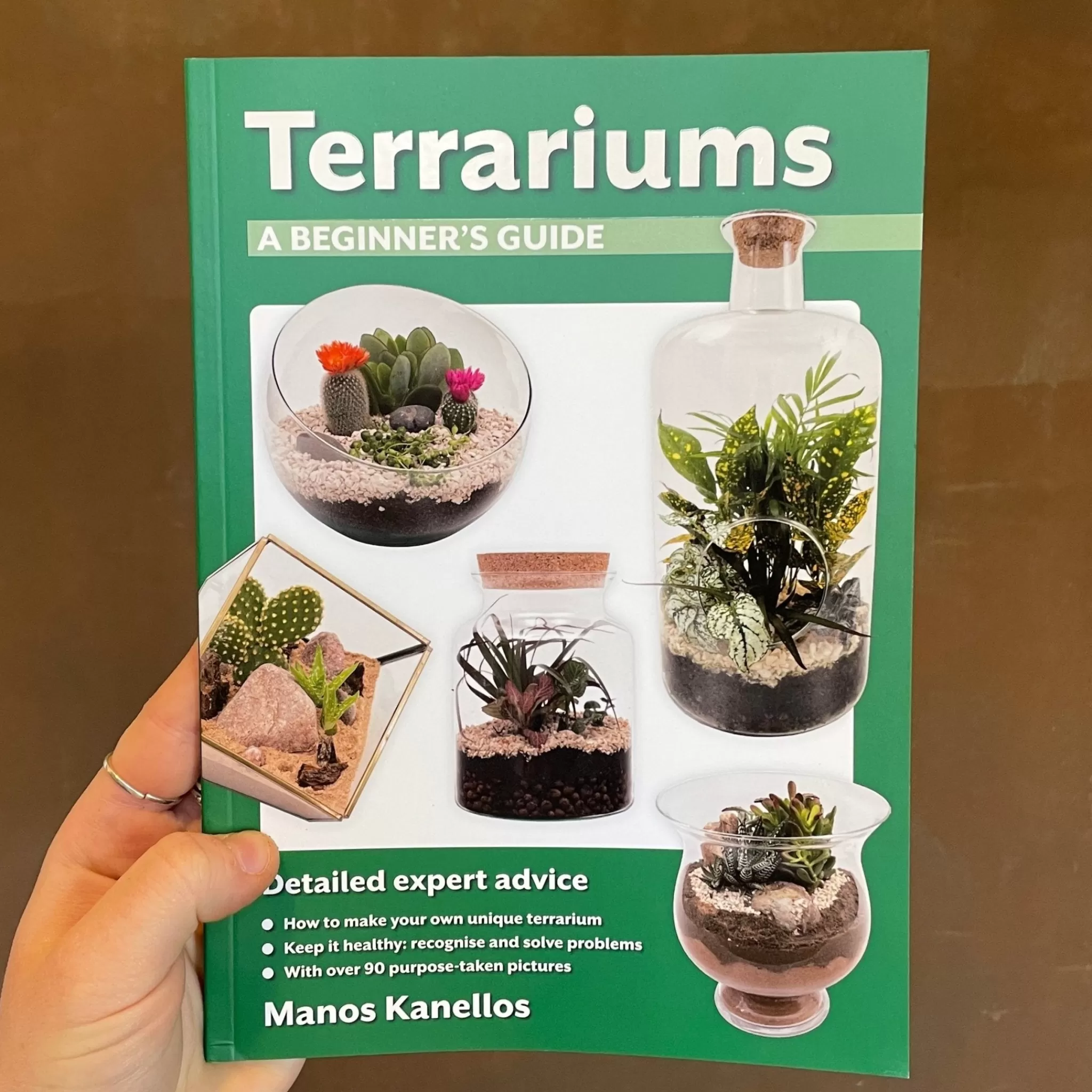 grow urban Terrariums: A Beginner's Guide- Books | Build Your Own Terrarium