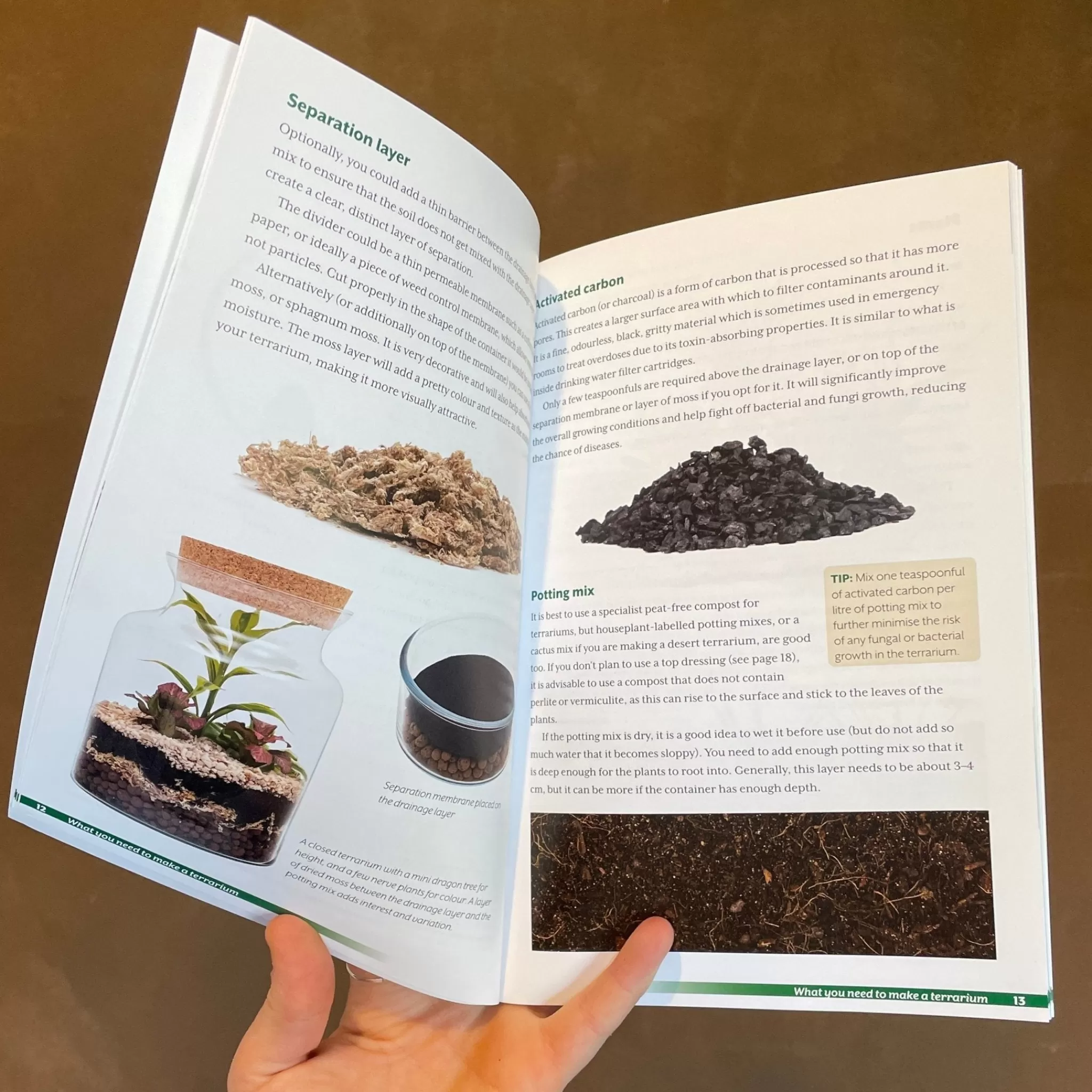 grow urban Terrariums: A Beginner's Guide- Books | Build Your Own Terrarium