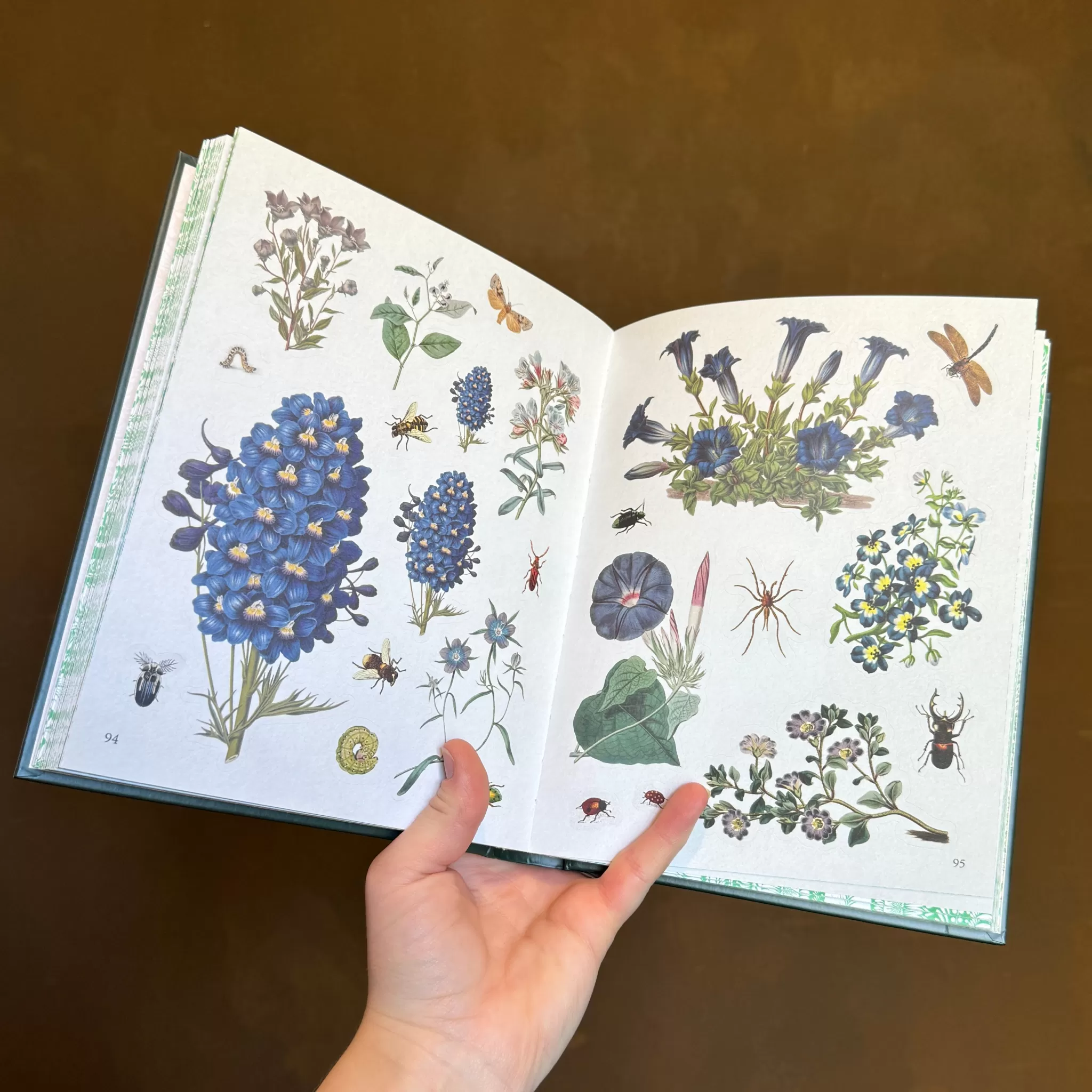 grow urban The Botanist's Sticker Anthology- Books