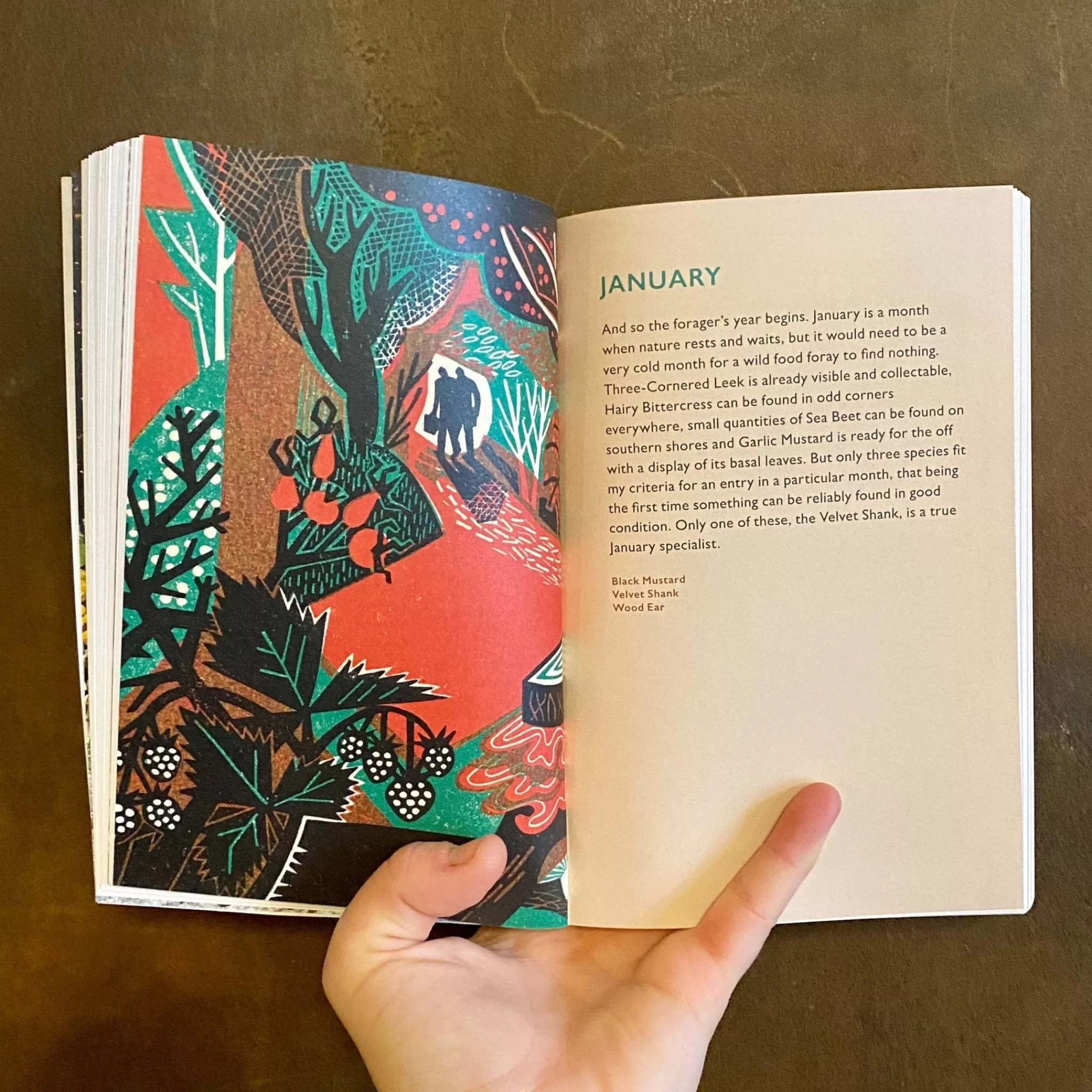 grow urban The Forager's Calendar- Books | Gift Ideas