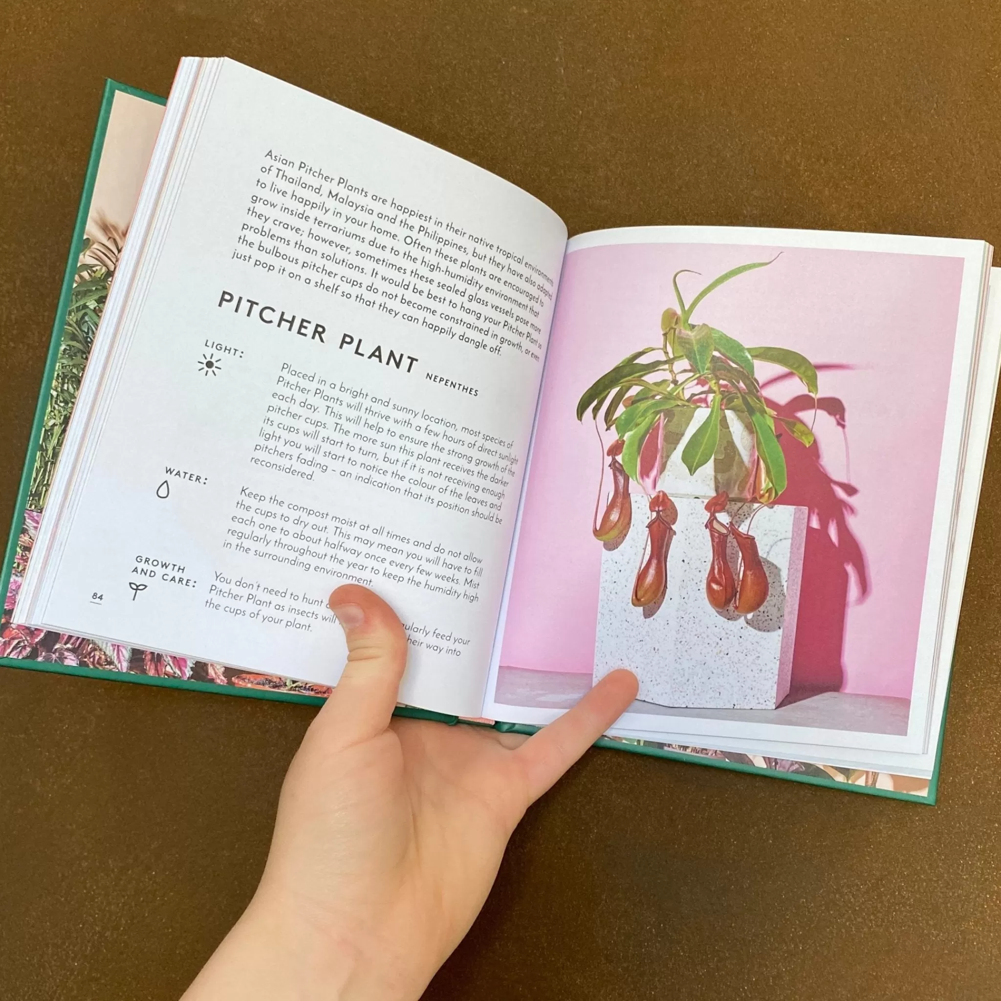 grow urban The Little Book Of House Plants & Other Greenery- Books | Gift Ideas