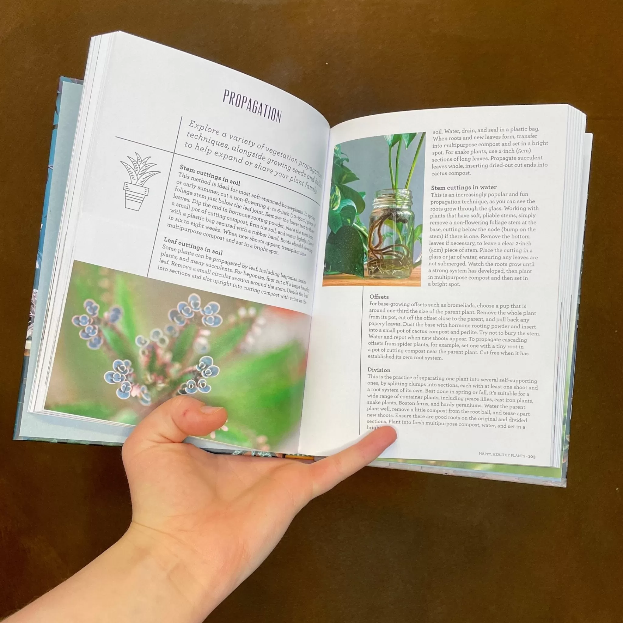 grow urban The Modern Gardener- Books | Gift Ideas