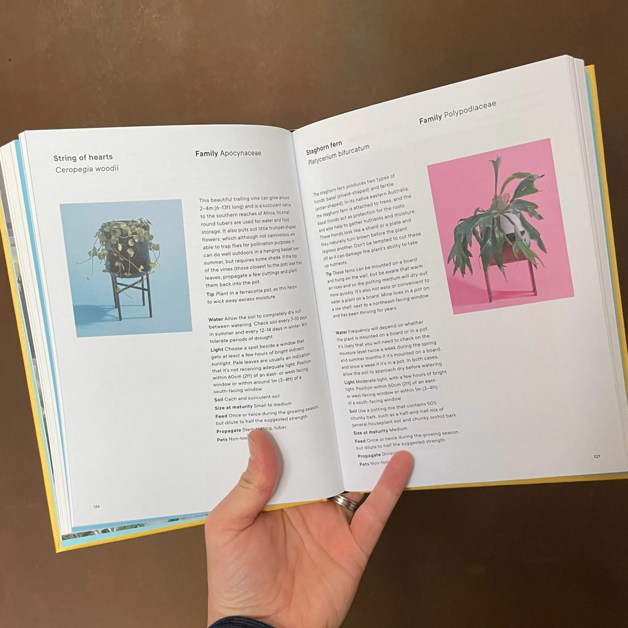 grow urban The Plant Rescuer- Books | Gift Ideas
