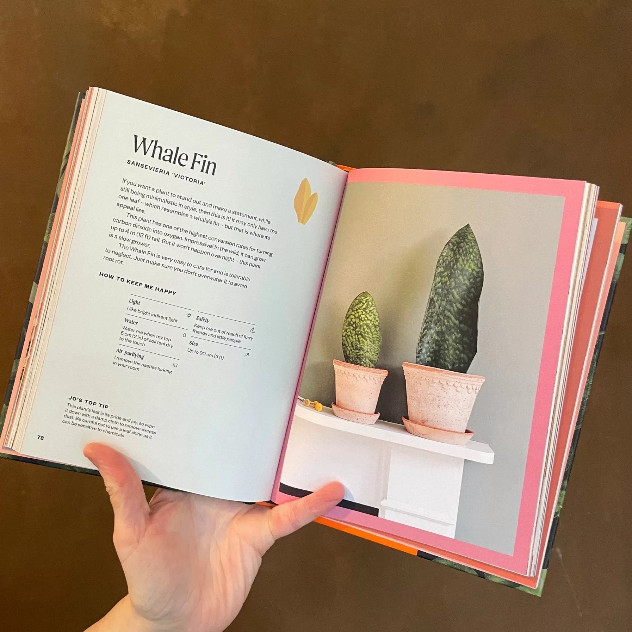 grow urban The Unkillables- Books