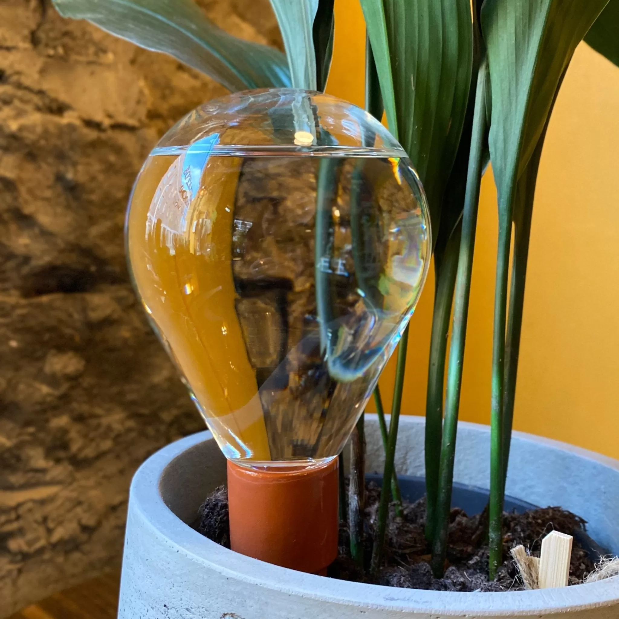 grow urban Waterworks - Watering Globe- Home Decor & Hardware | Gift Ideas