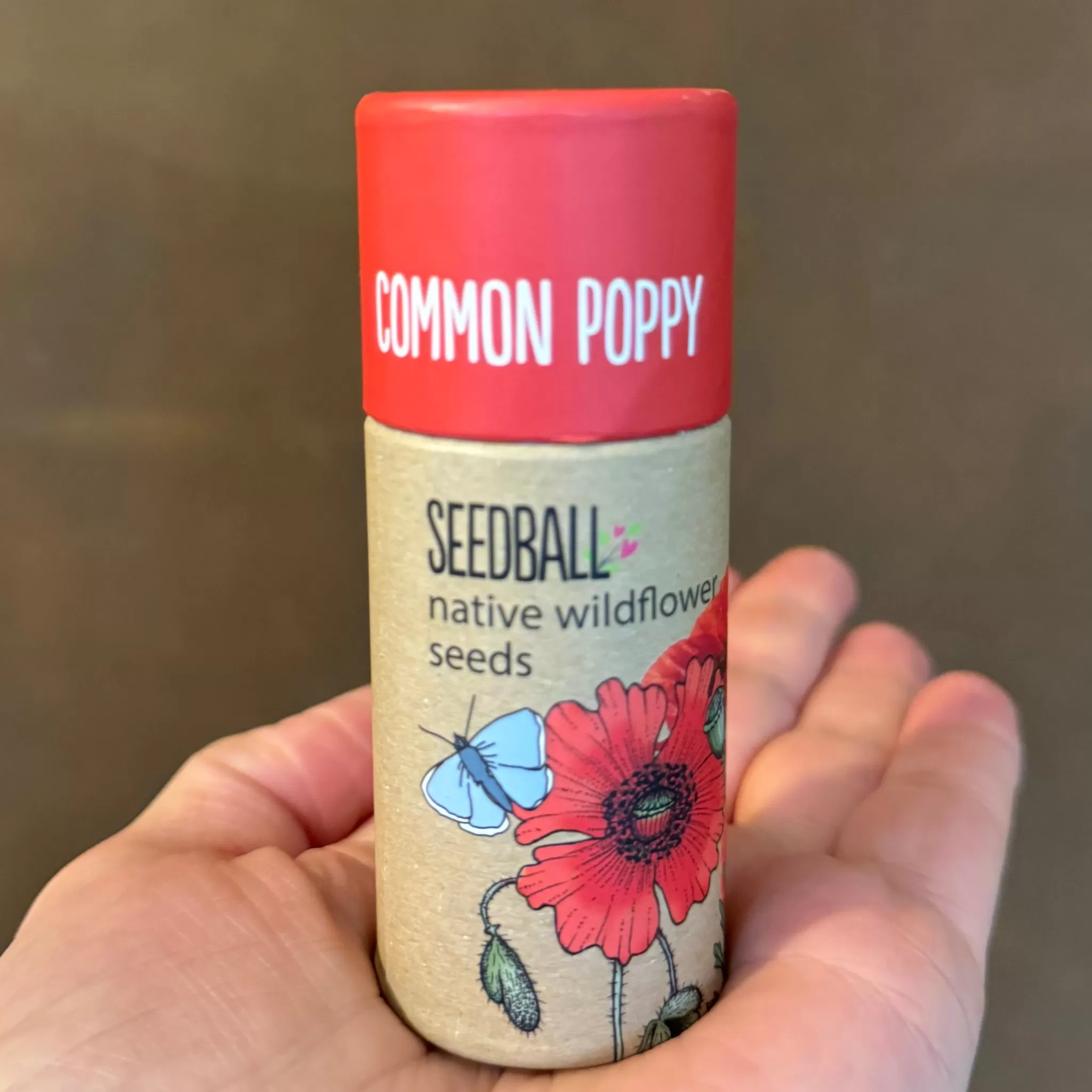 grow urban Wildflower Seedball Tubes- Seeds & Bulbs | Gift Ideas